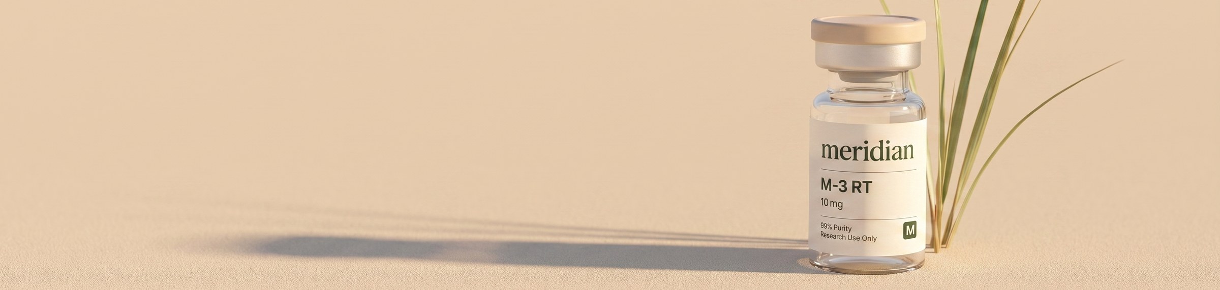 Meridian research materials arranged on a warm U.S. sand surface
