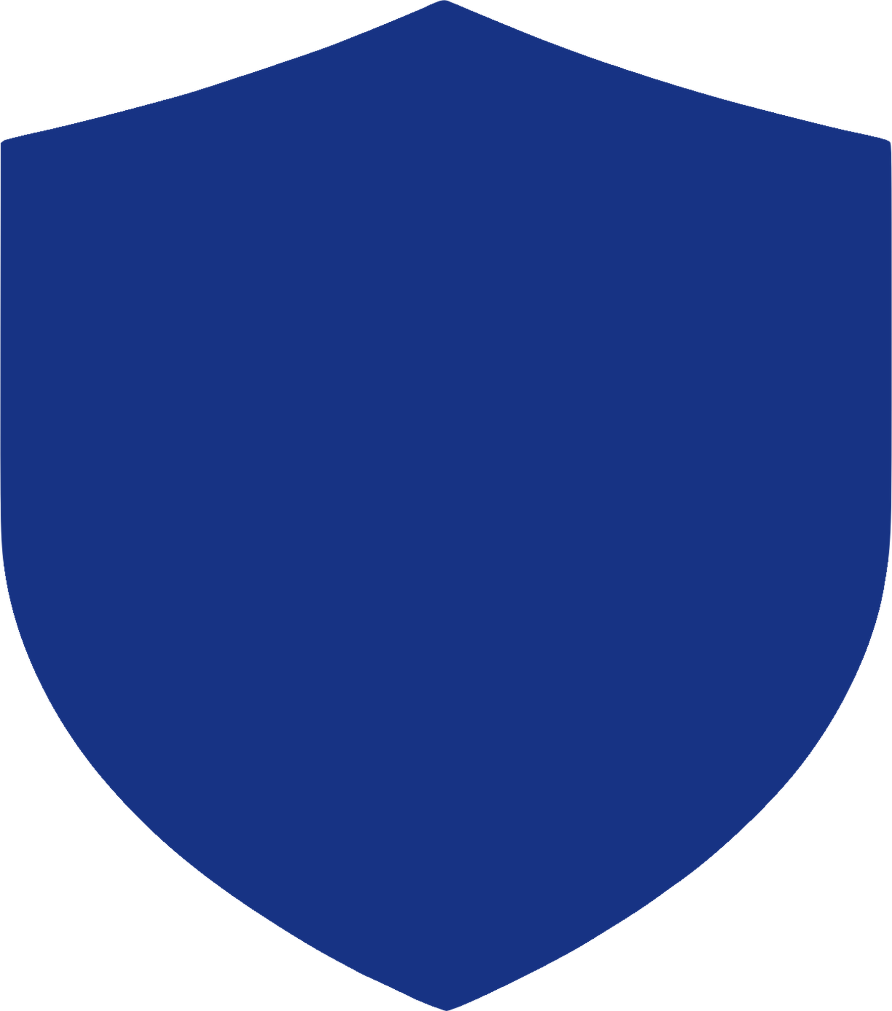 Plain luxury blue shield
